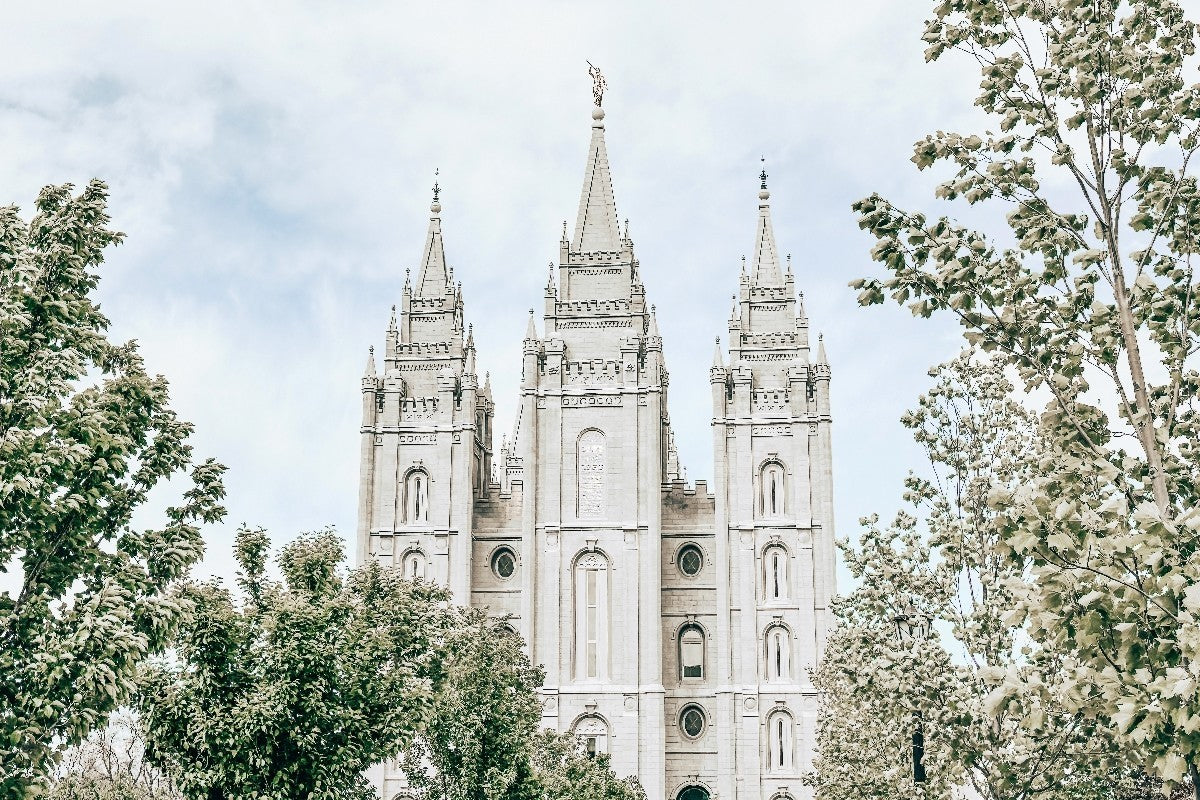 Salt Lake City Utah Immaculate Embrace