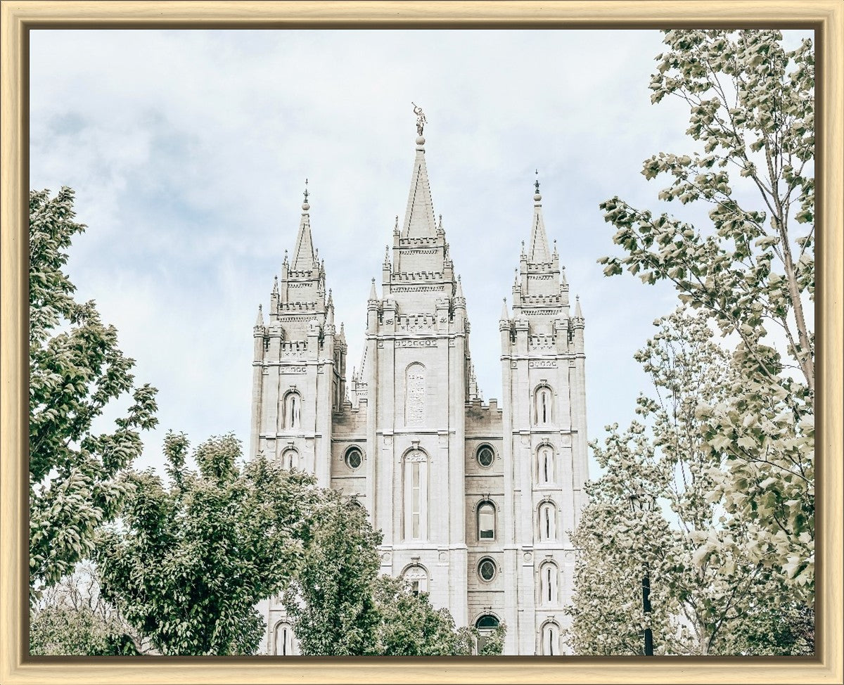 Salt Lake City Utah Immaculate Embrace