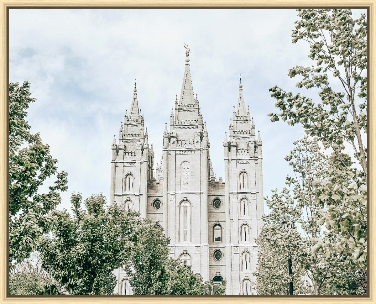 Salt Lake City Utah Immaculate Embrace