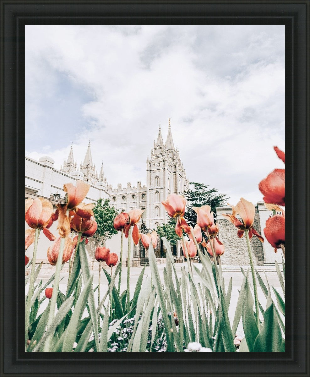 Salt Lake City Utah Serenity