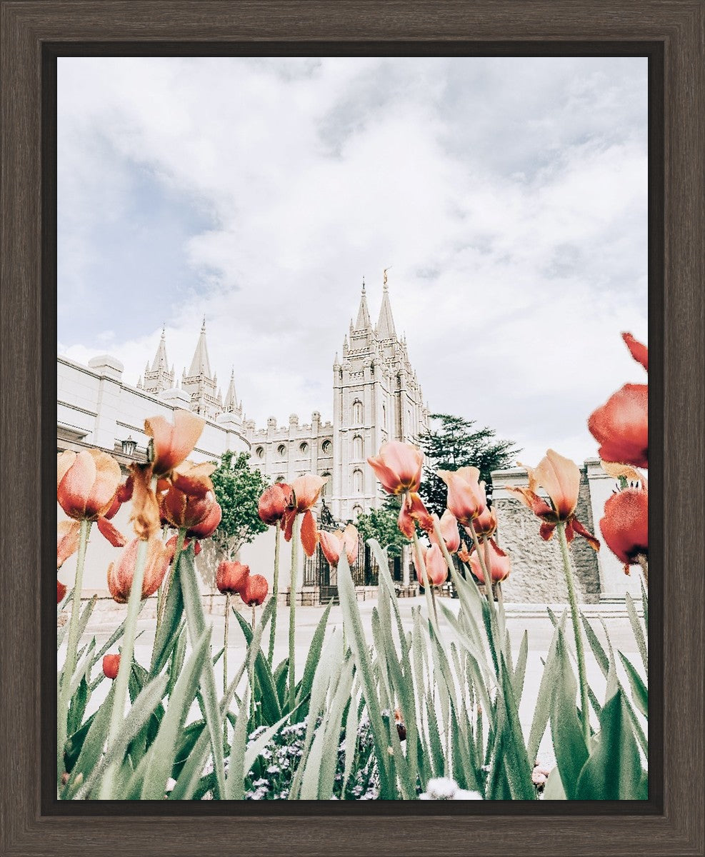 Salt Lake City Utah Serenity