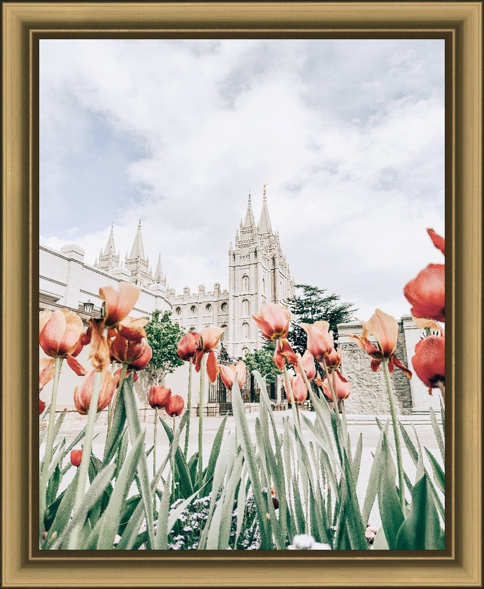 Salt Lake City Utah Serenity