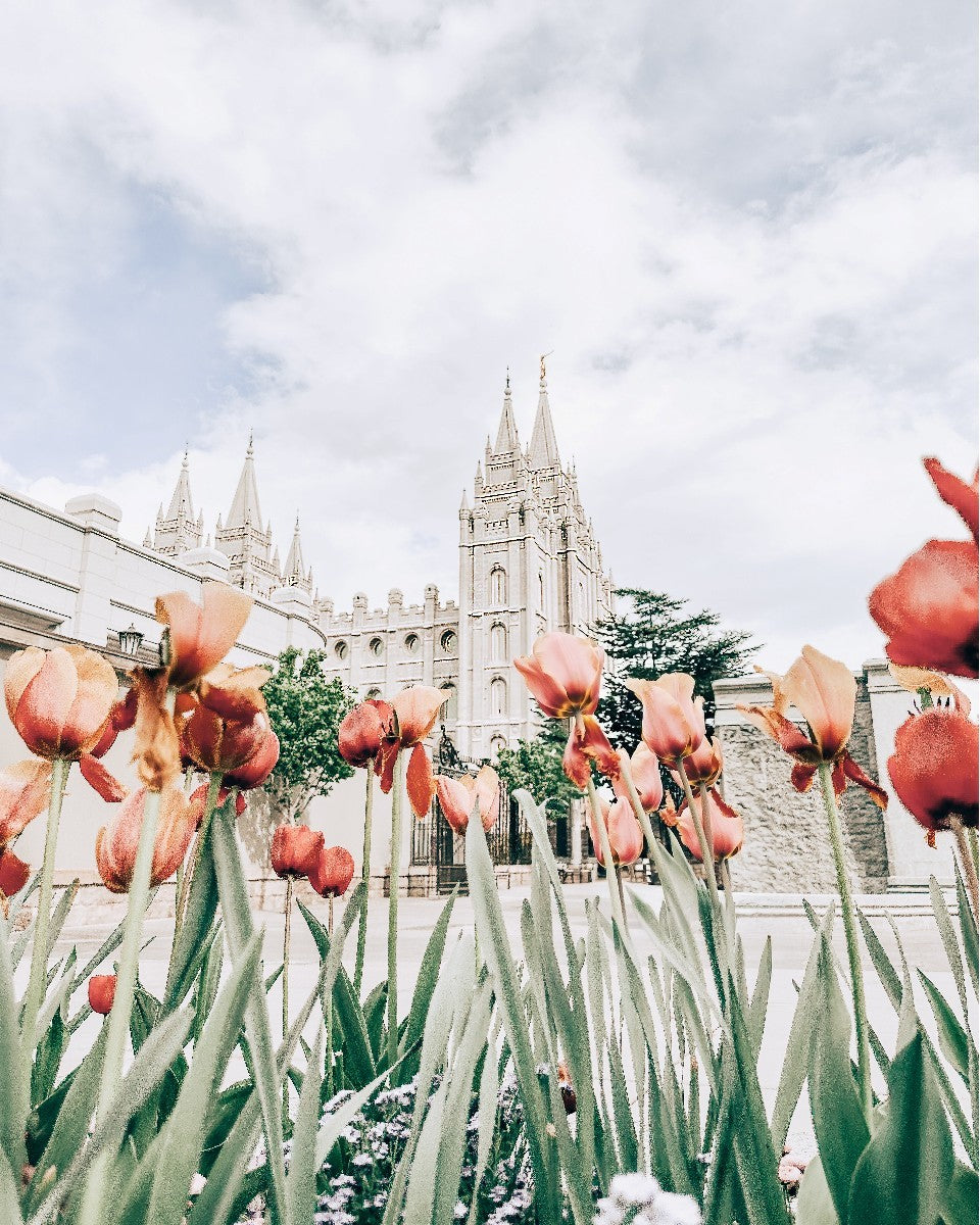 Salt Lake City Utah Serenity