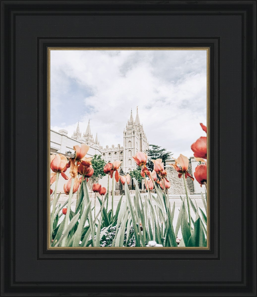 Salt Lake City Utah Serenity