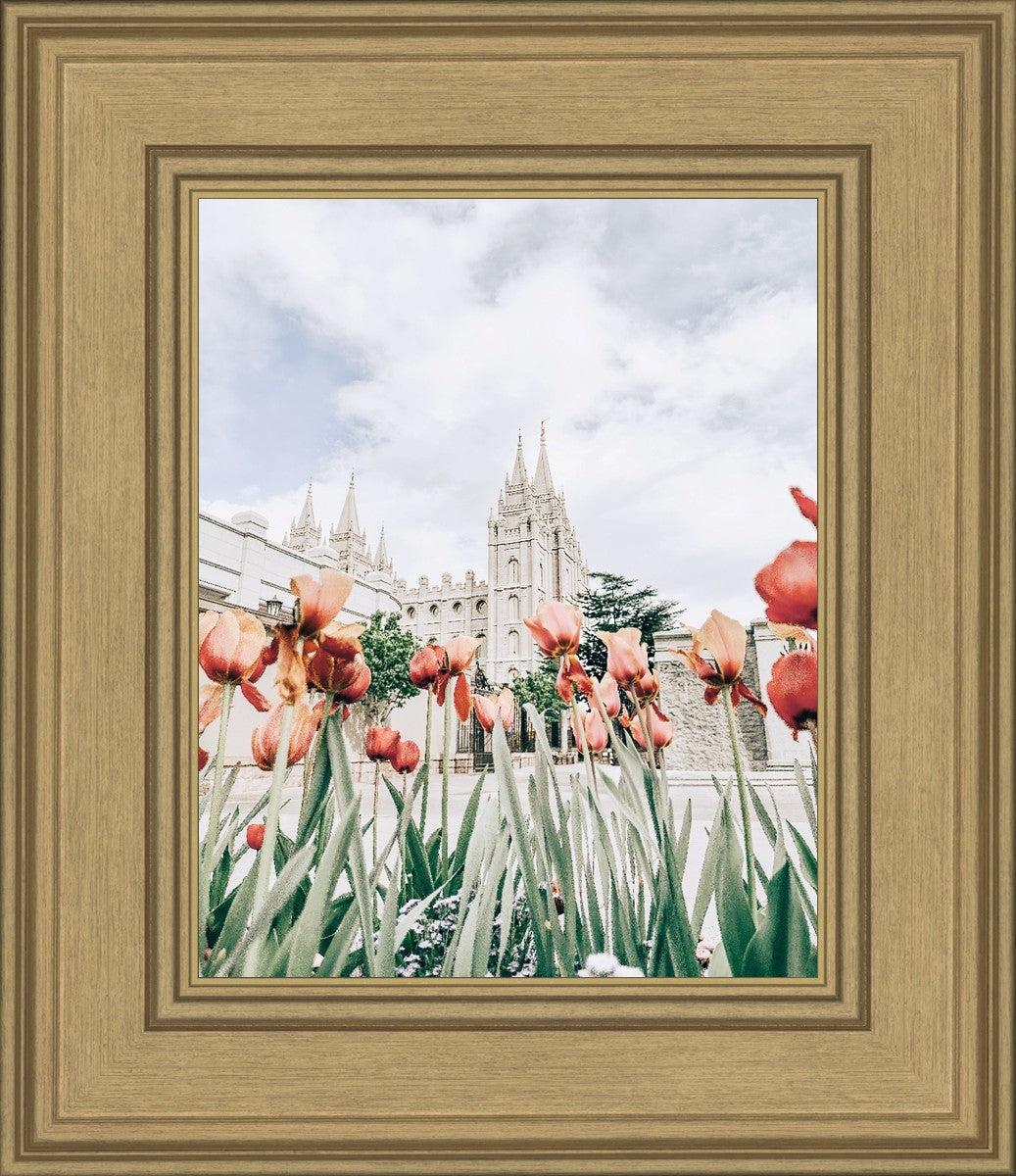 Salt Lake City Utah Serenity