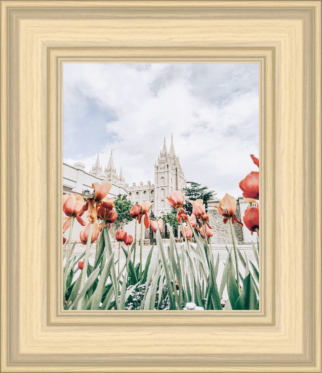 Salt Lake City Utah Serenity
