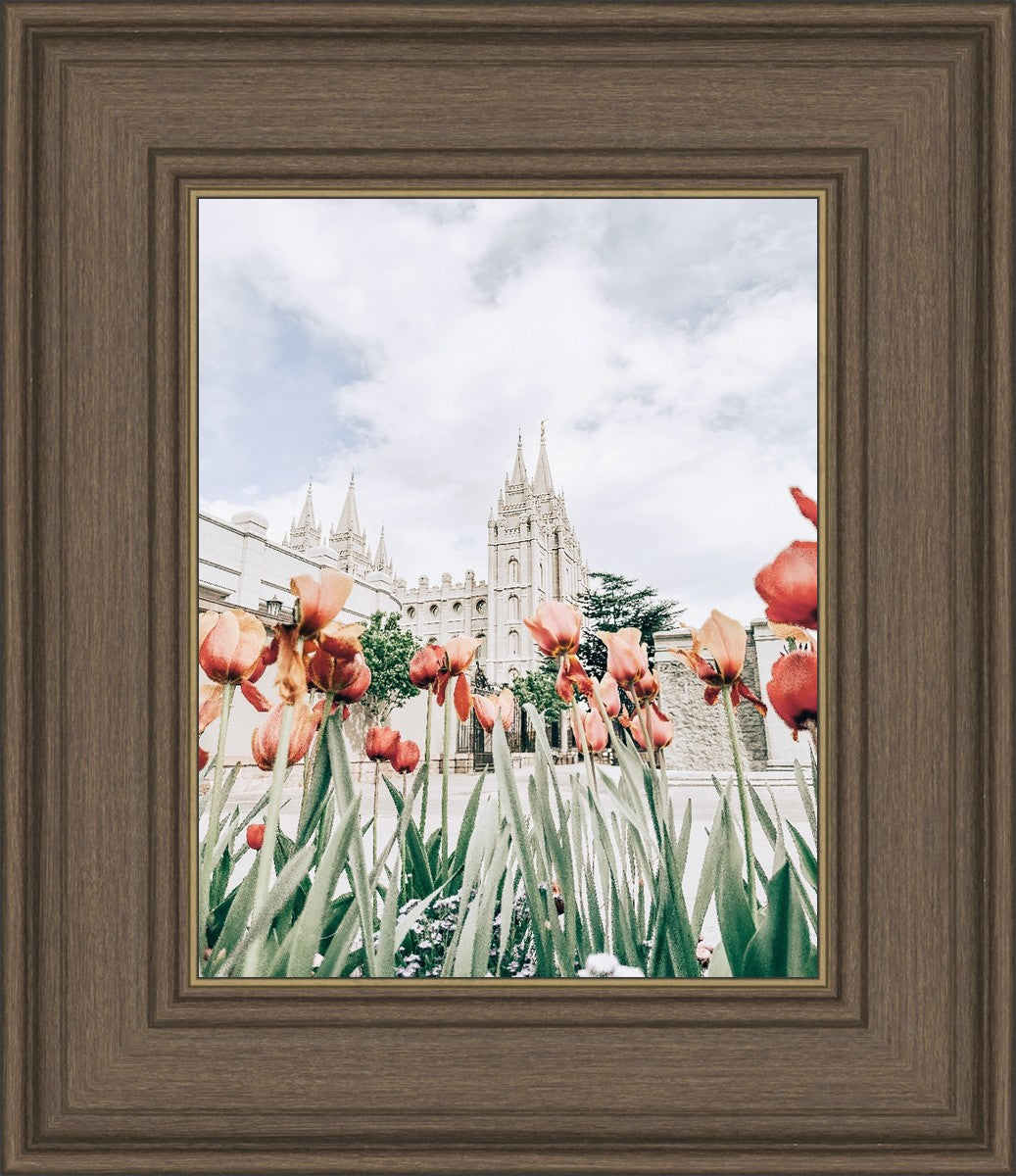 Salt Lake City Utah Serenity