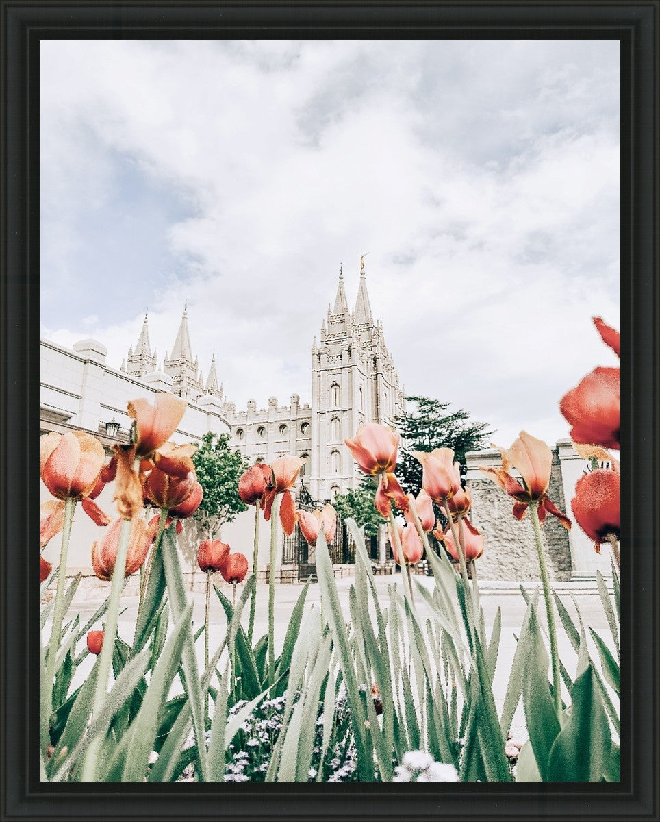 Salt Lake City Utah Serenity