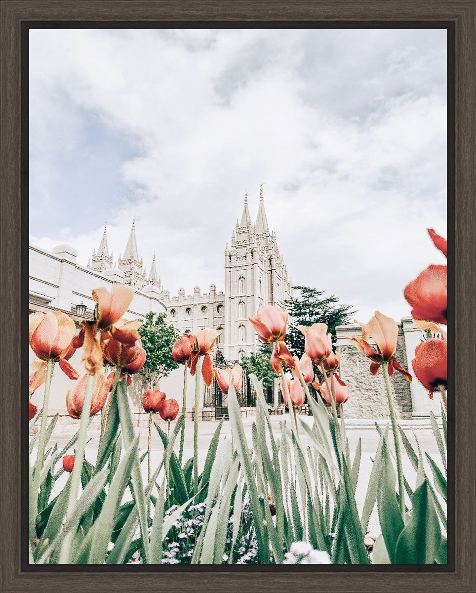 Salt Lake City Utah Serenity