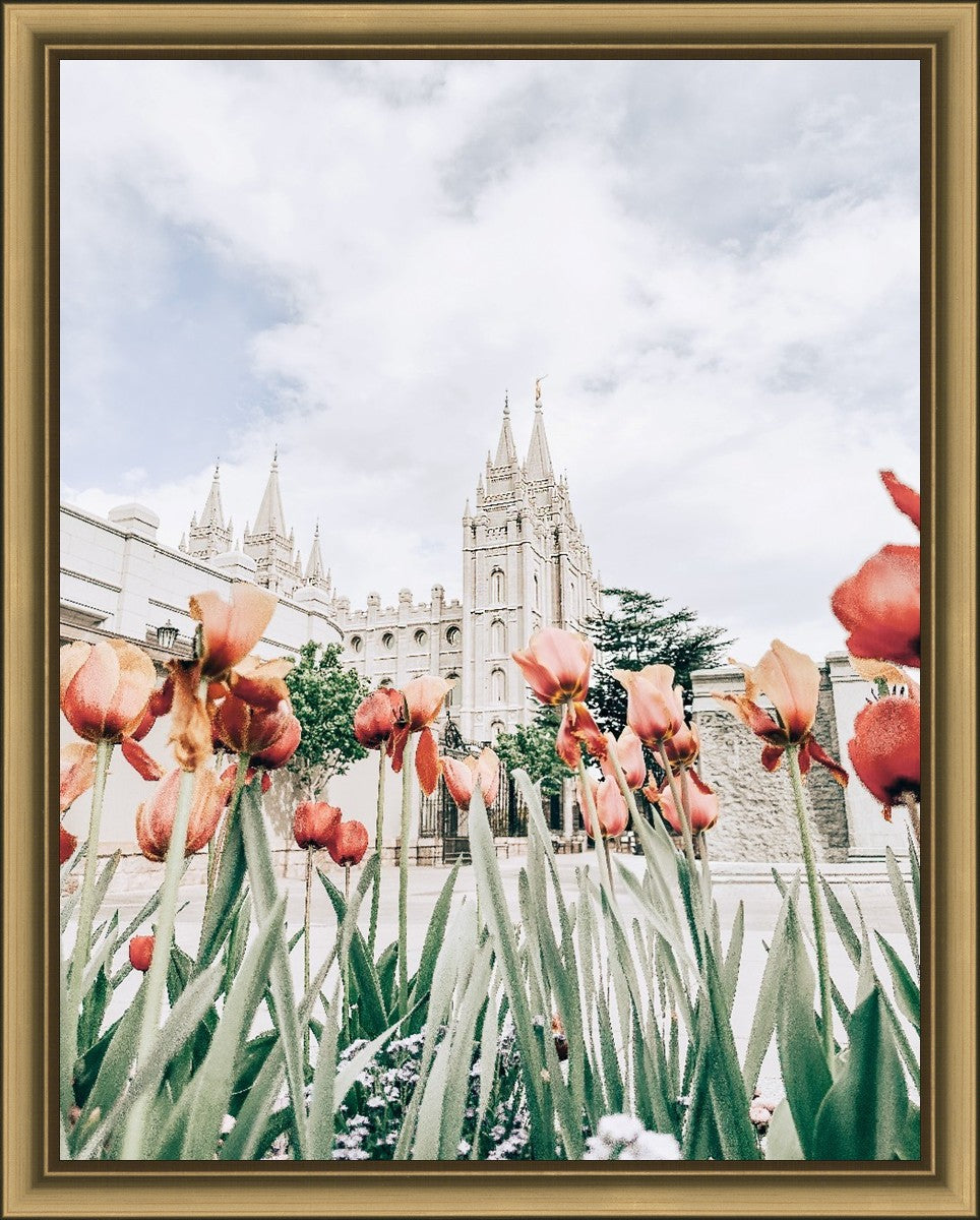 Salt Lake City Utah Serenity