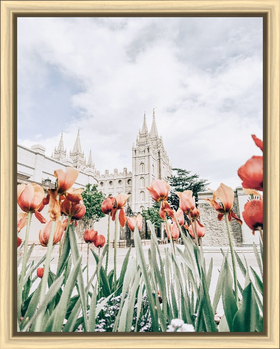 Salt Lake City Utah Serenity