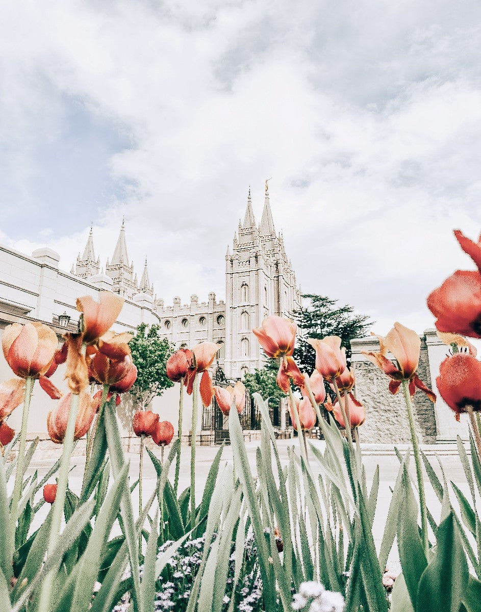 Salt Lake City Utah Serenity