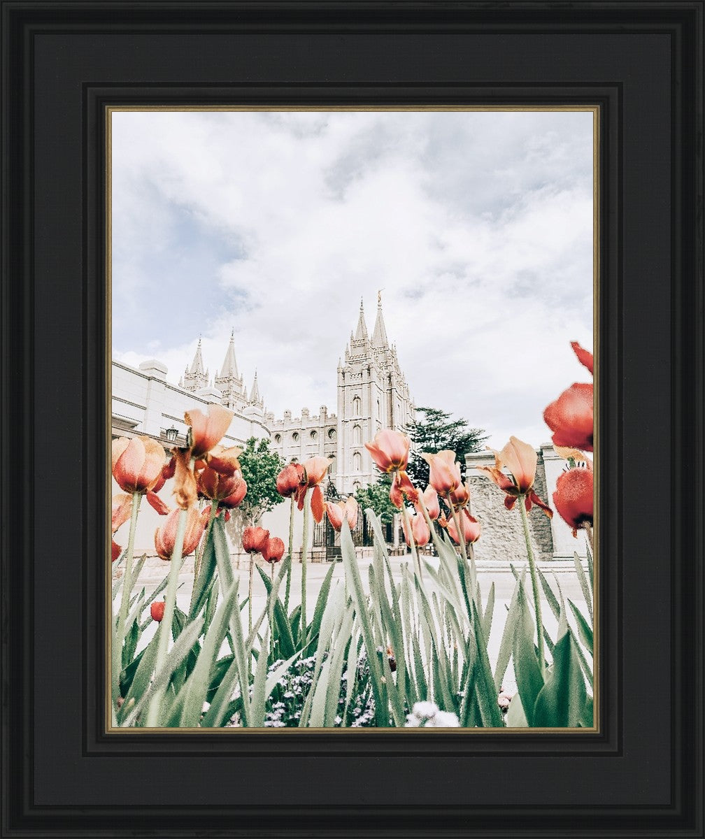 Salt Lake City Utah Serenity