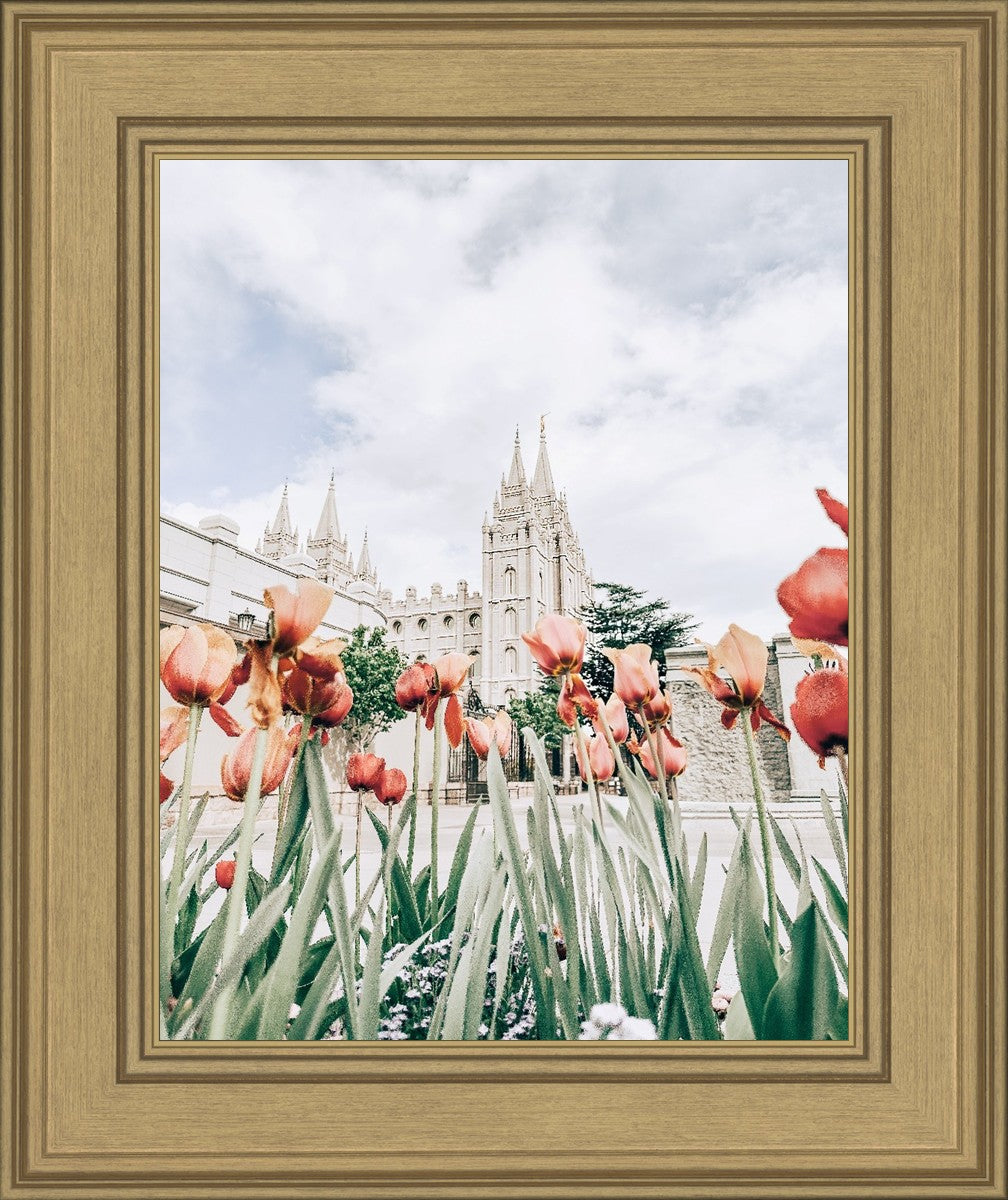 Salt Lake City Utah Serenity