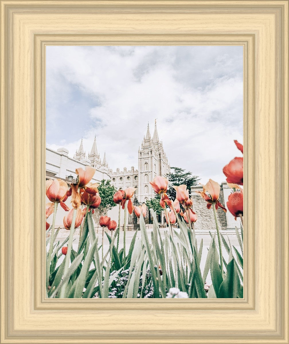 Salt Lake City Utah Serenity
