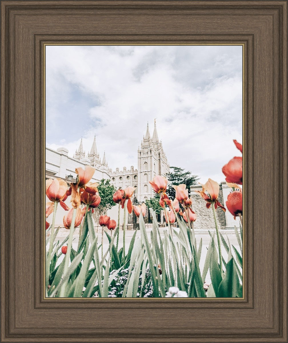 Salt Lake City Utah Serenity
