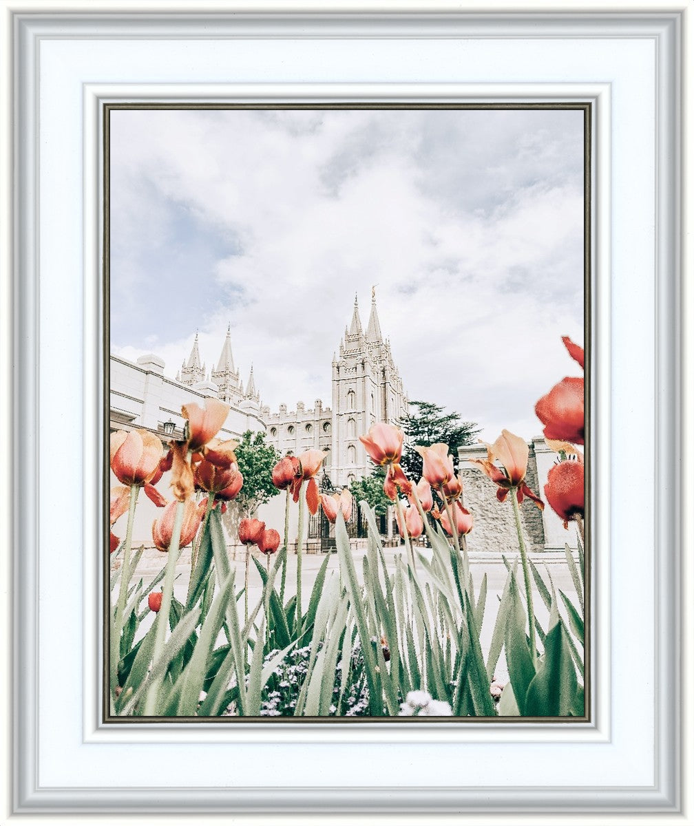Salt Lake City Utah Serenity