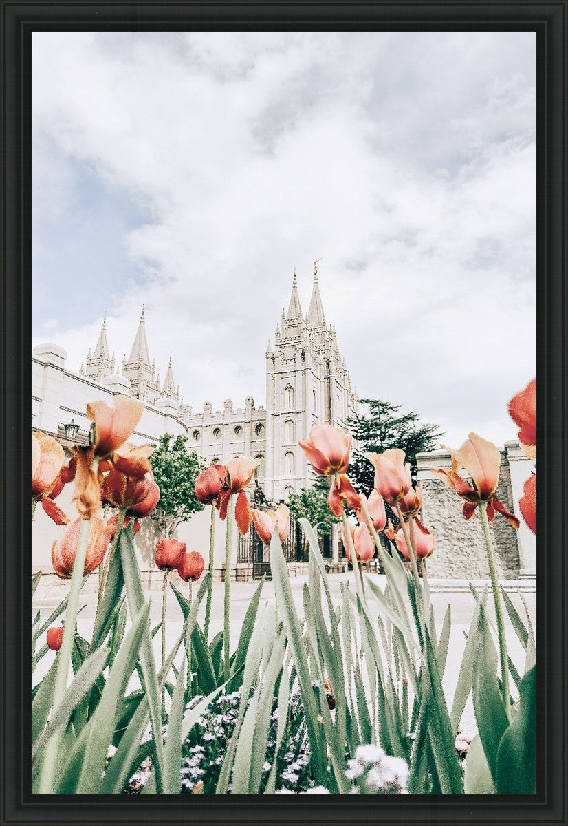 Salt Lake City Utah Serenity