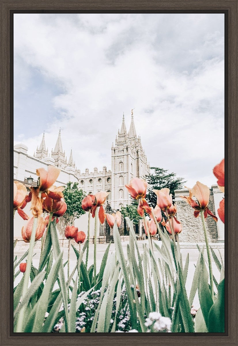 Salt Lake City Utah Serenity