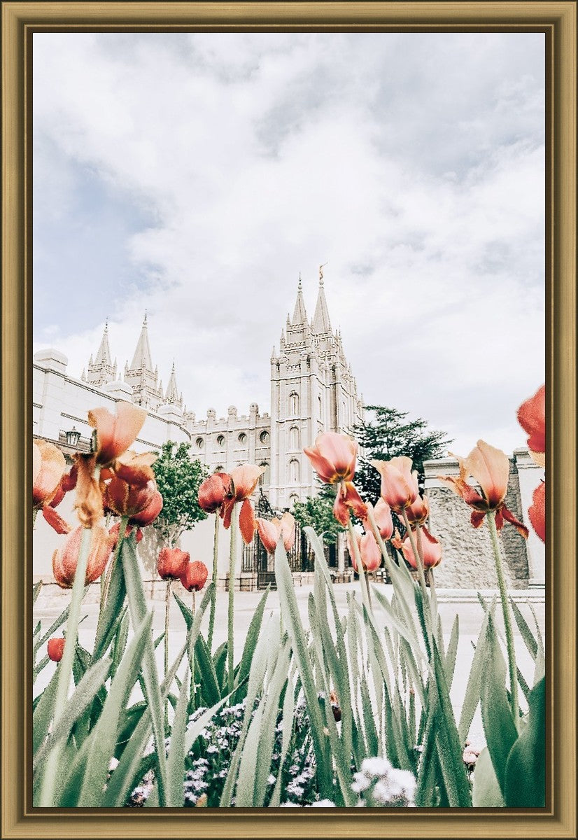 Salt Lake City Utah Serenity