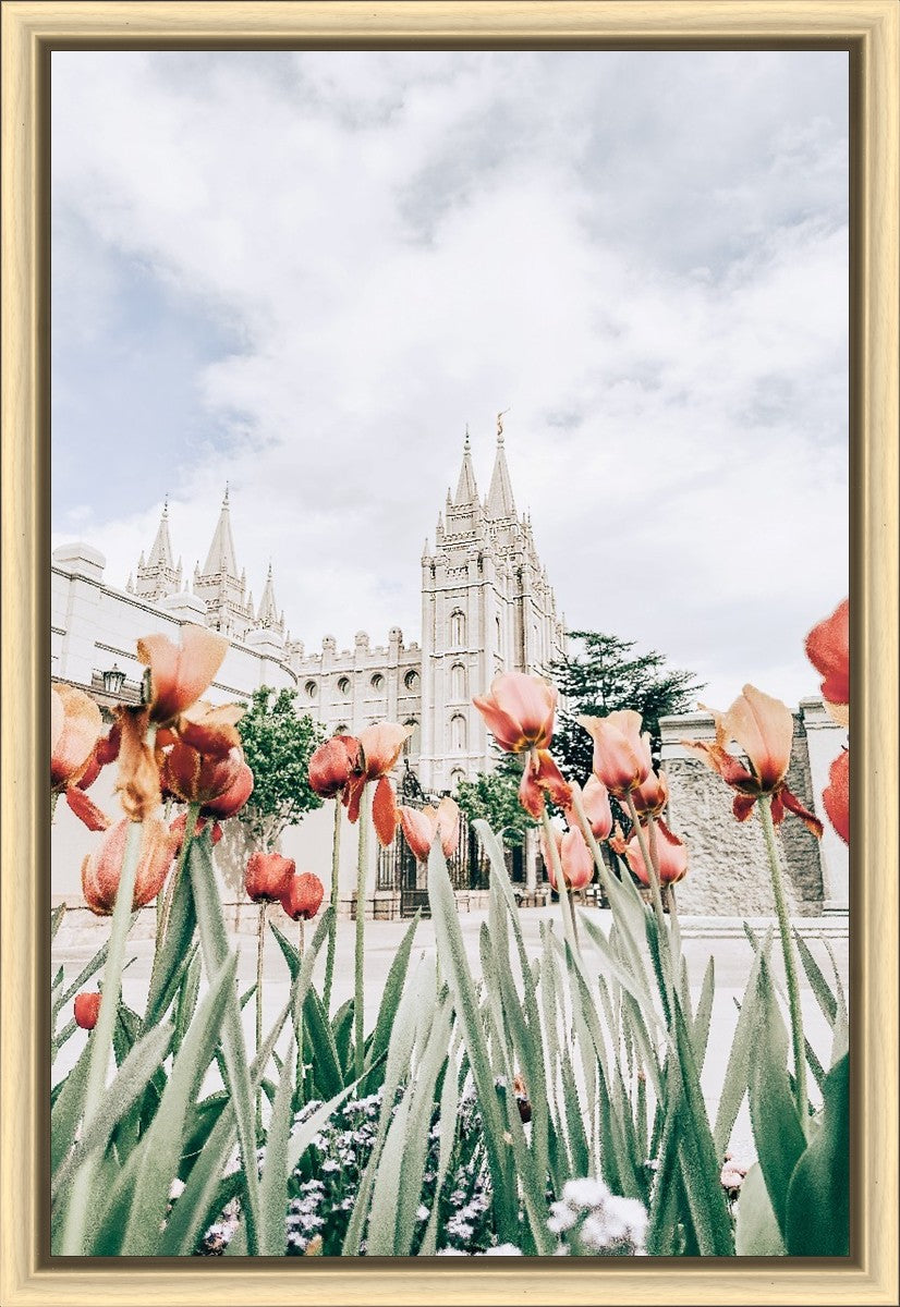 Salt Lake City Utah Serenity