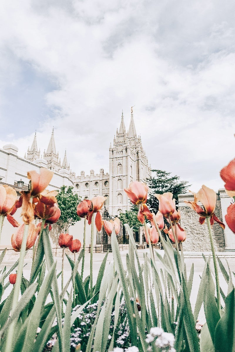 Salt Lake City Utah Serenity