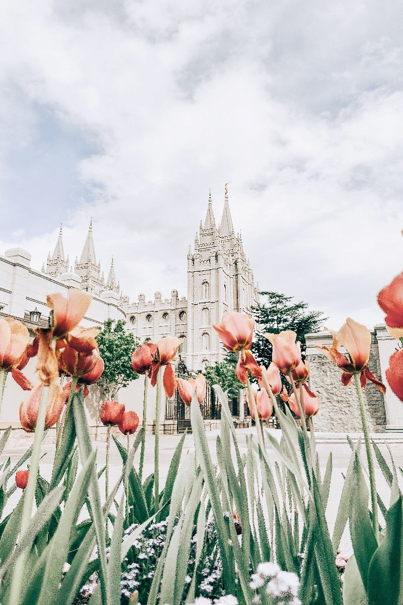 Salt Lake City Utah Serenity