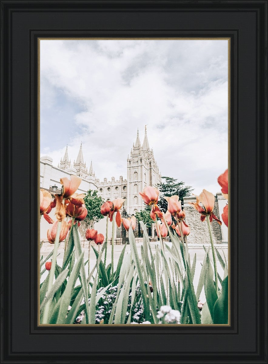Salt Lake City Utah Serenity