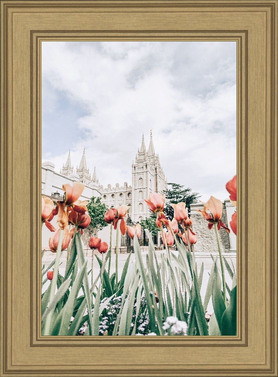Salt Lake City Utah Serenity
