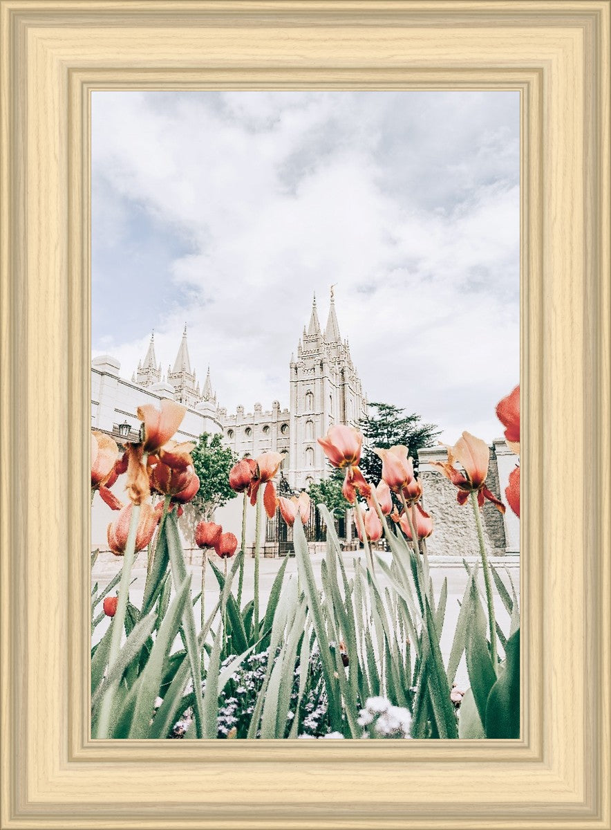 Salt Lake City Utah Serenity