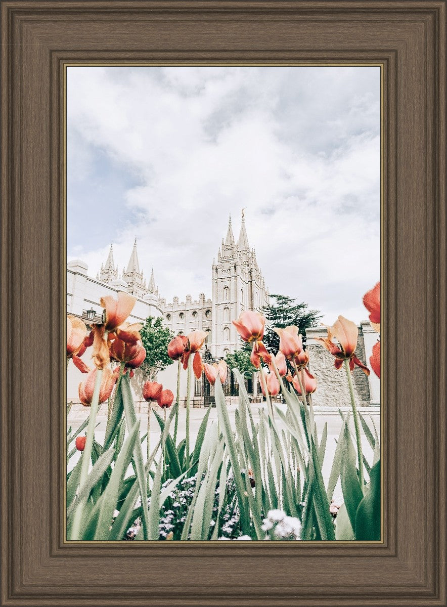 Salt Lake City Utah Serenity