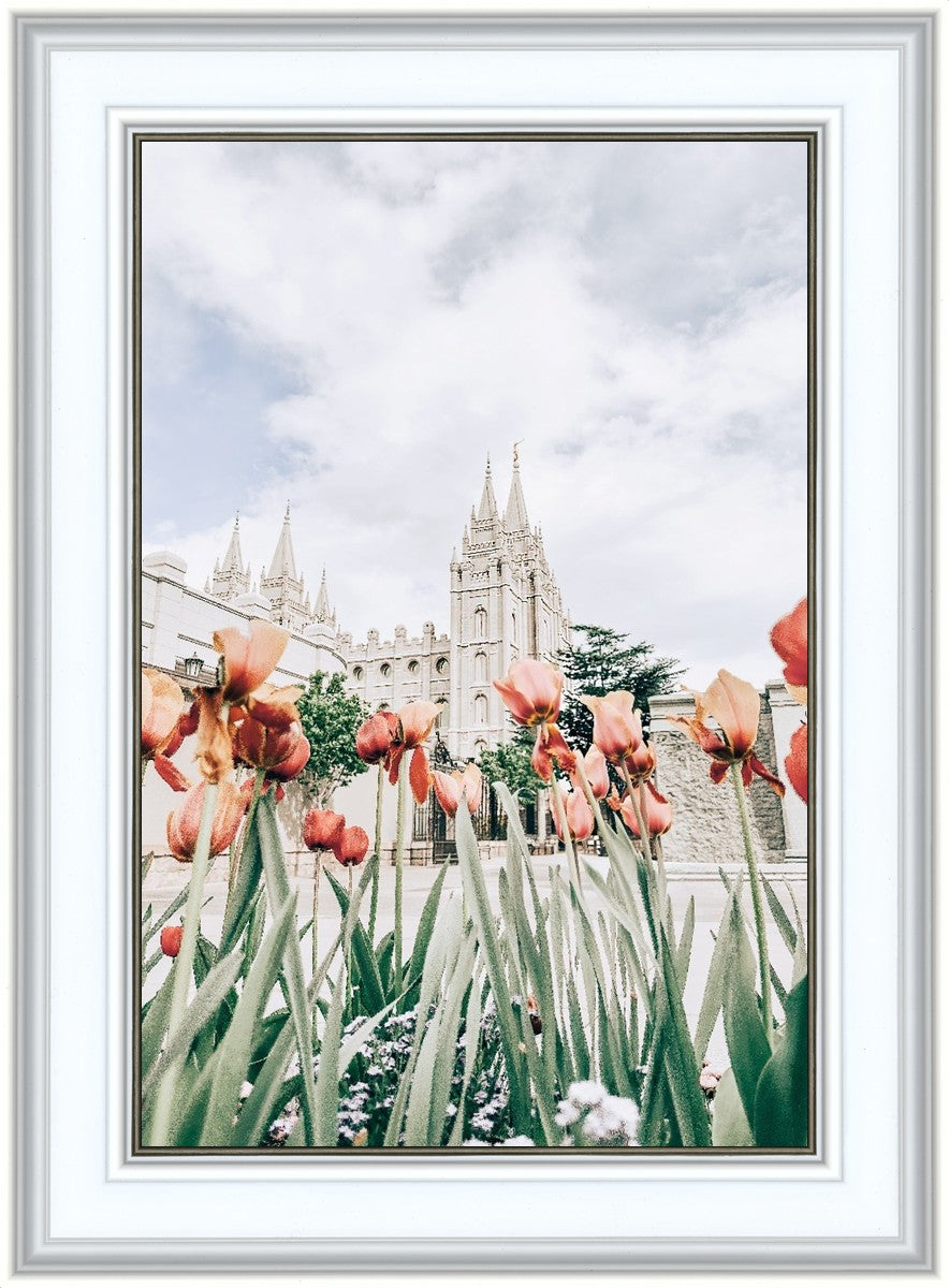 Salt Lake City Utah Serenity