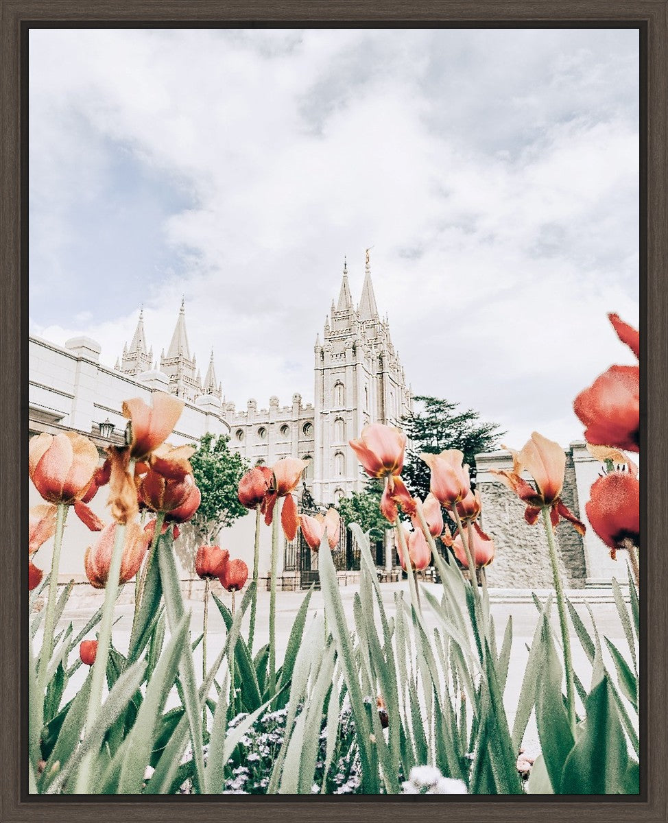 Salt Lake City Utah Serenity