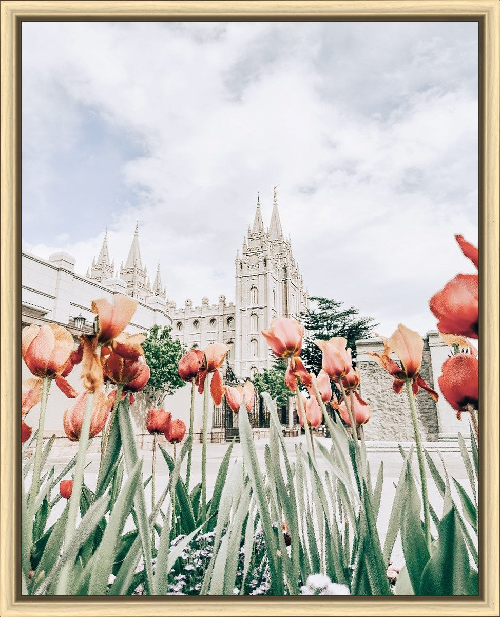 Salt Lake City Utah Serenity