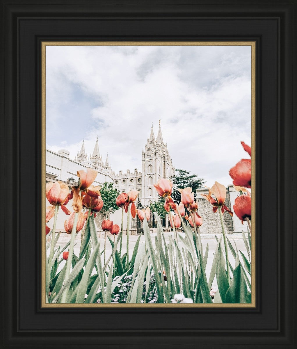 Salt Lake City Utah Serenity
