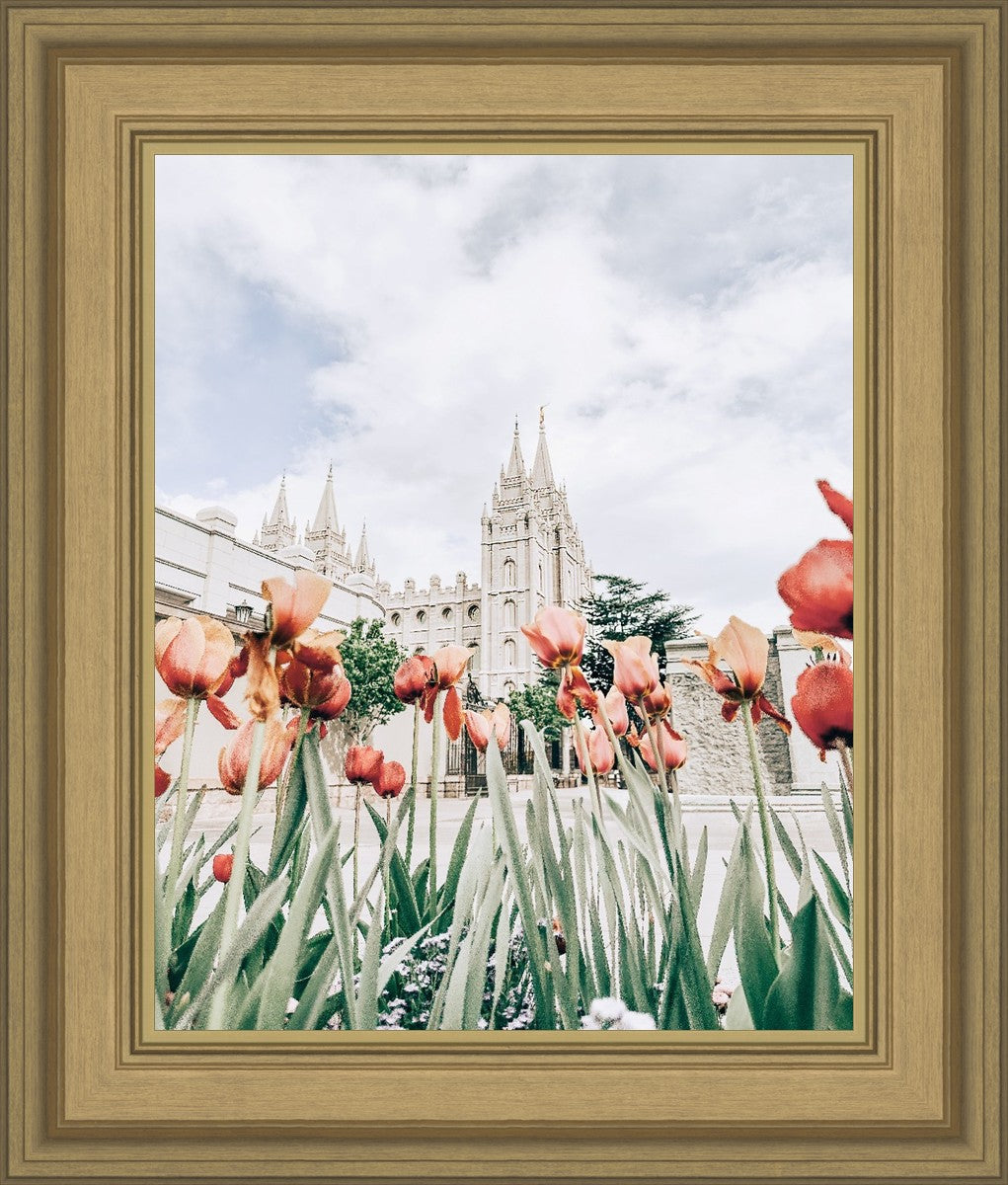 Salt Lake City Utah Serenity
