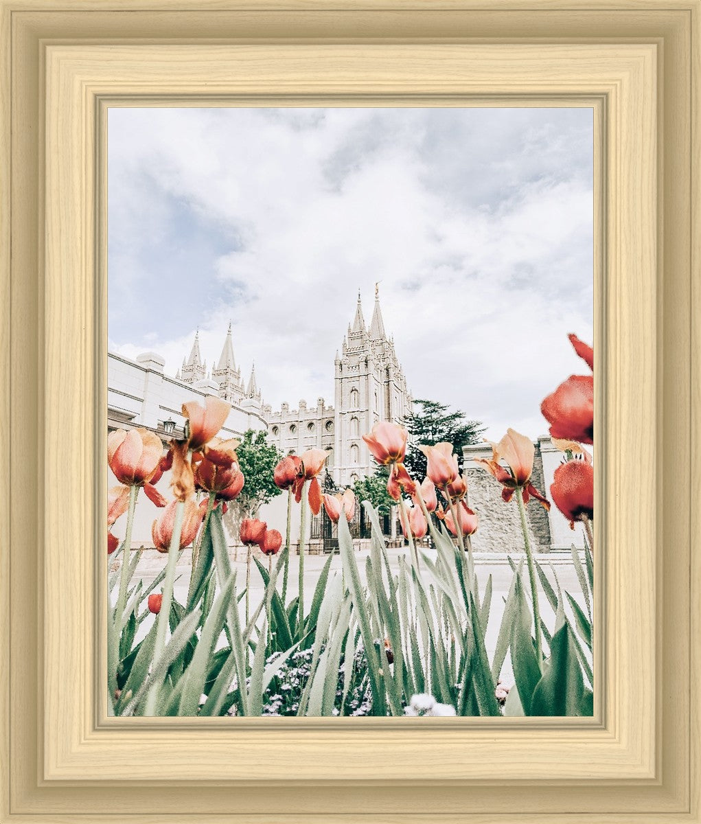 Salt Lake City Utah Serenity
