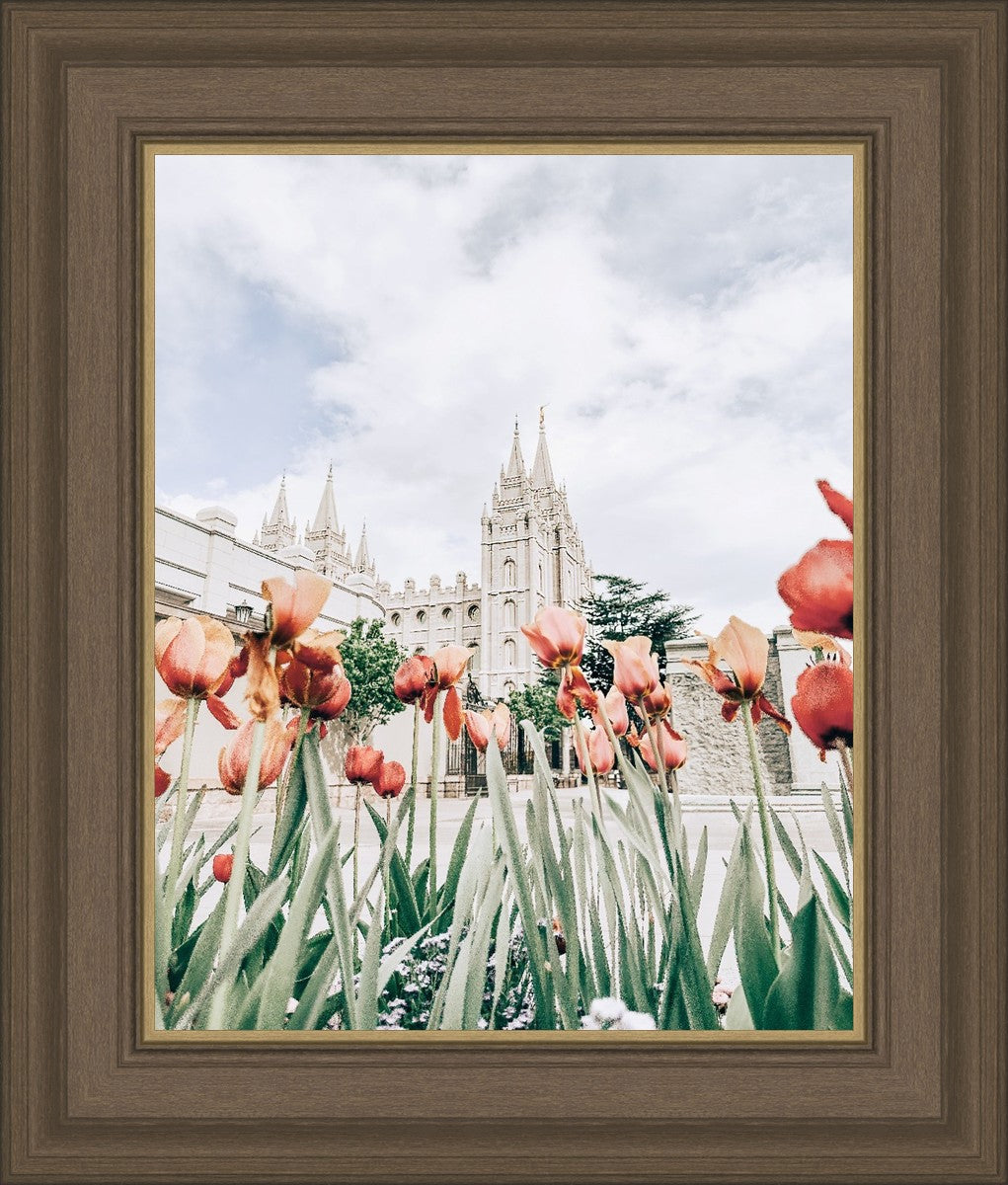 Salt Lake City Utah Serenity