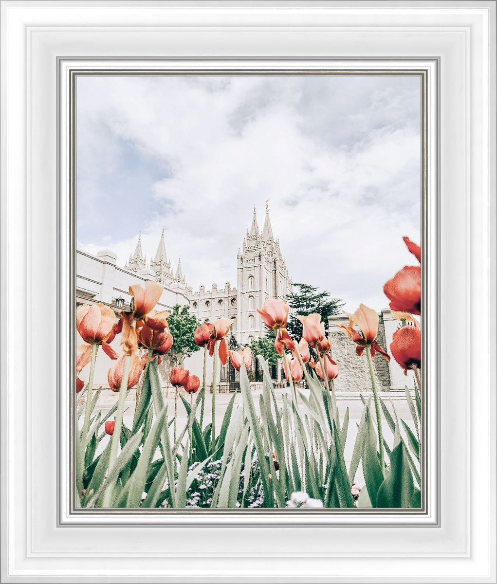 Salt Lake City Utah Serenity