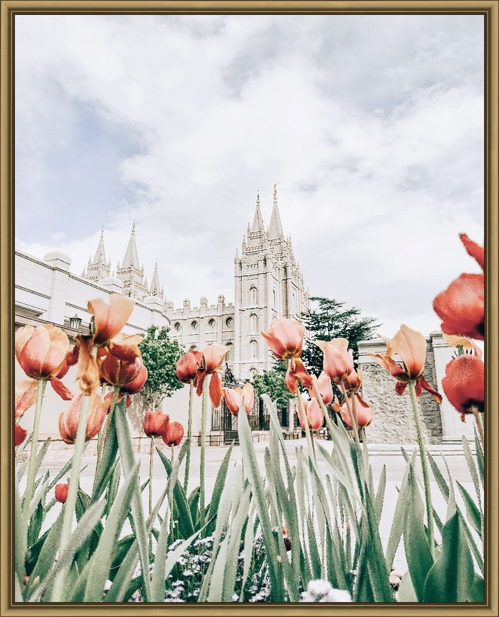 Salt Lake City Utah Serenity