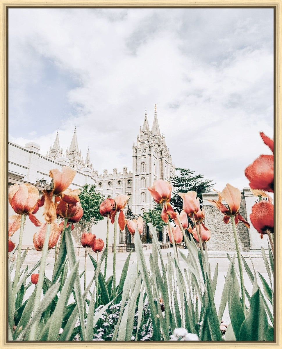Salt Lake City Utah Serenity