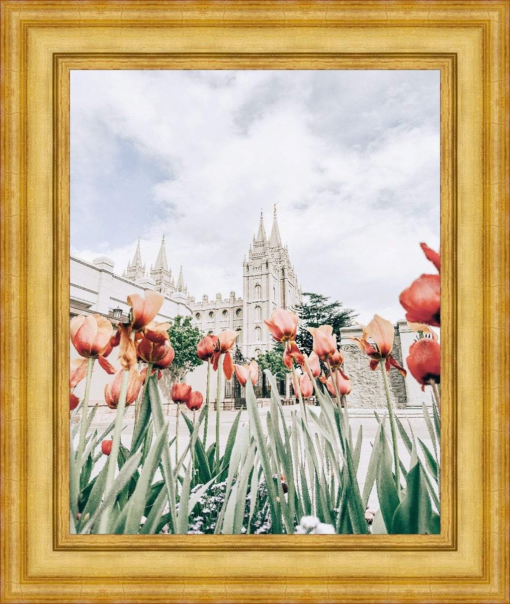 Salt Lake City Utah Serenity