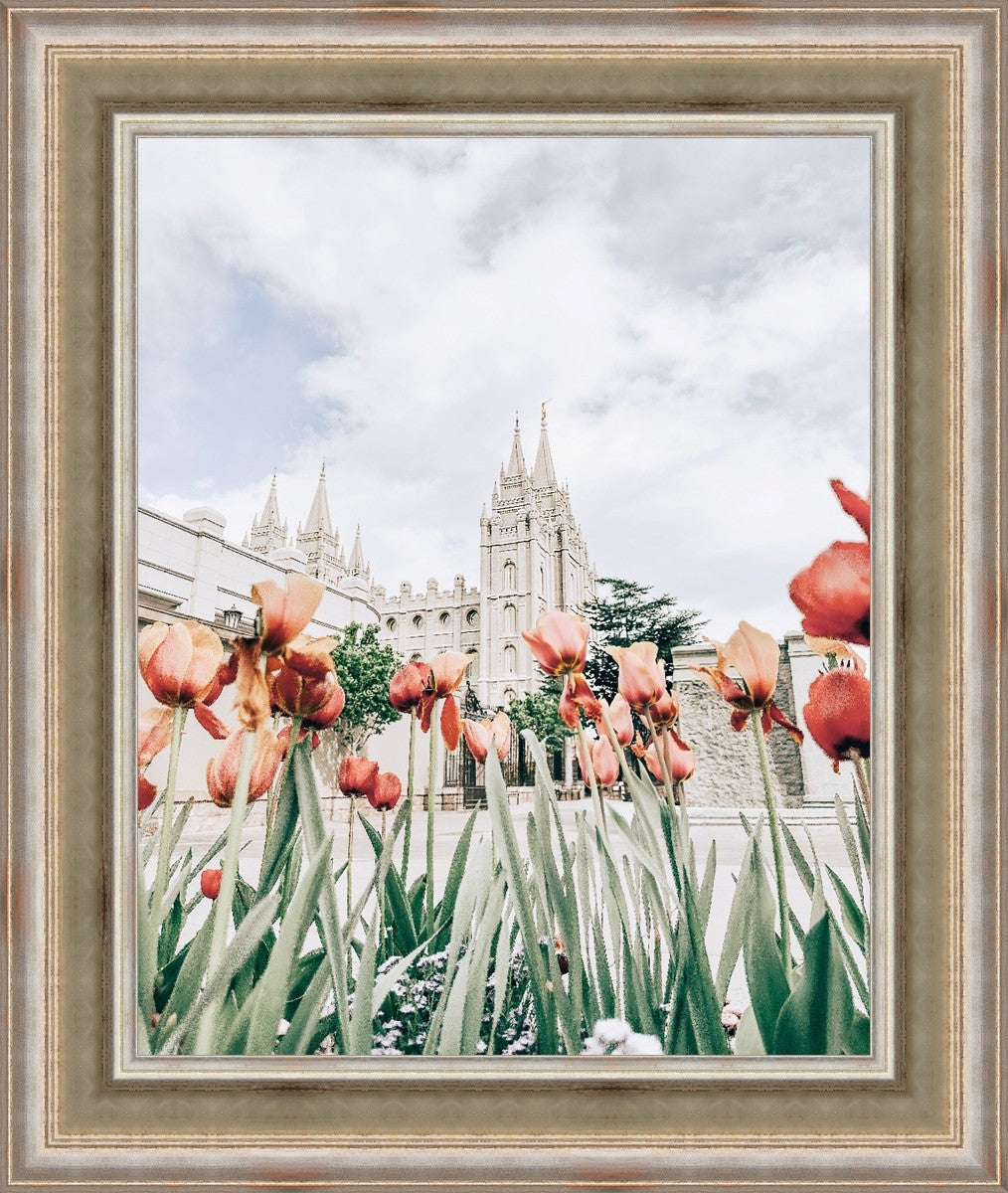 Salt Lake City Utah Serenity