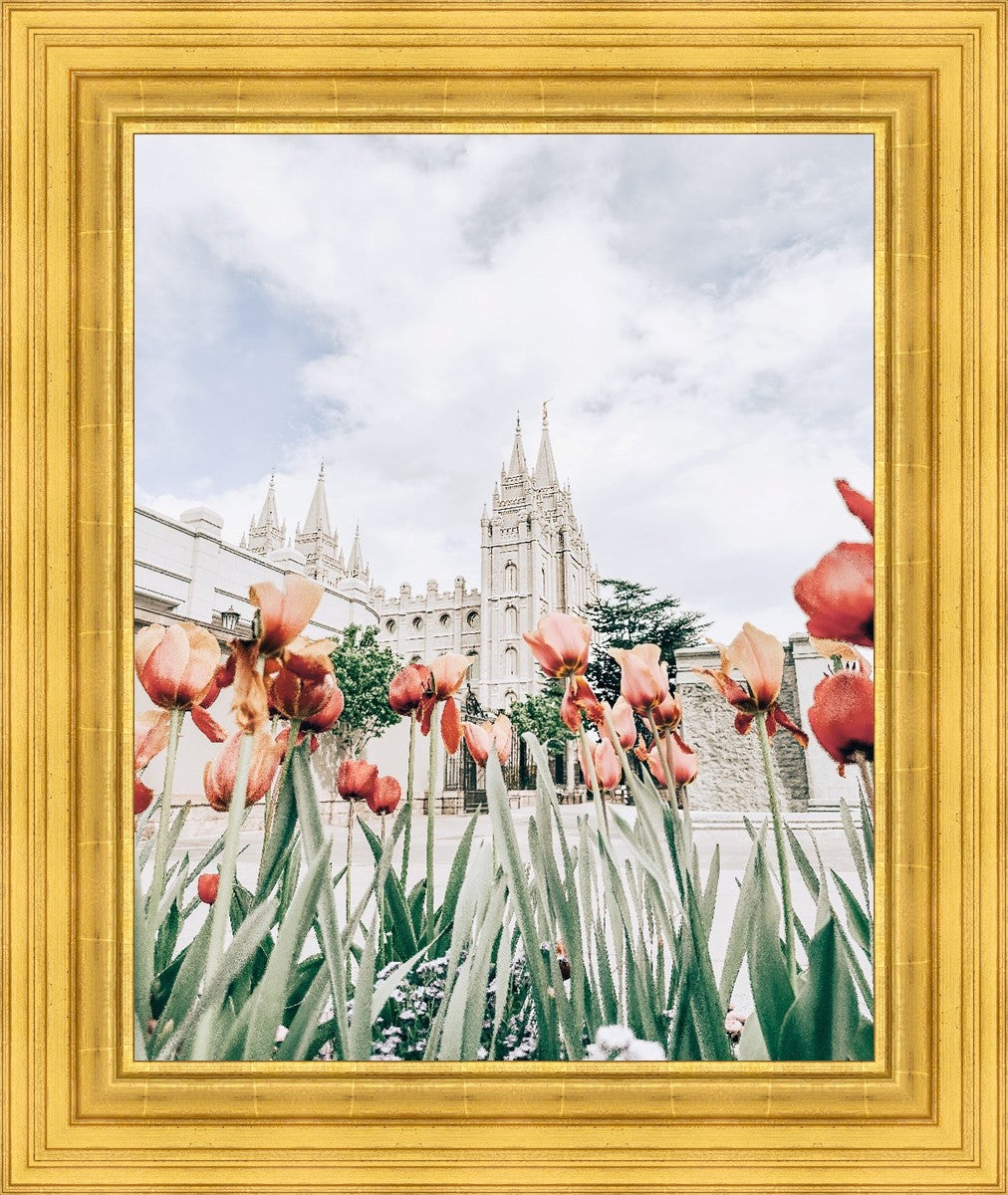 Salt Lake City Utah Serenity