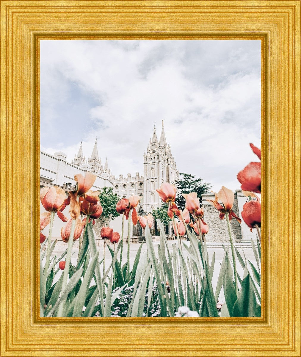 Salt Lake City Utah Serenity