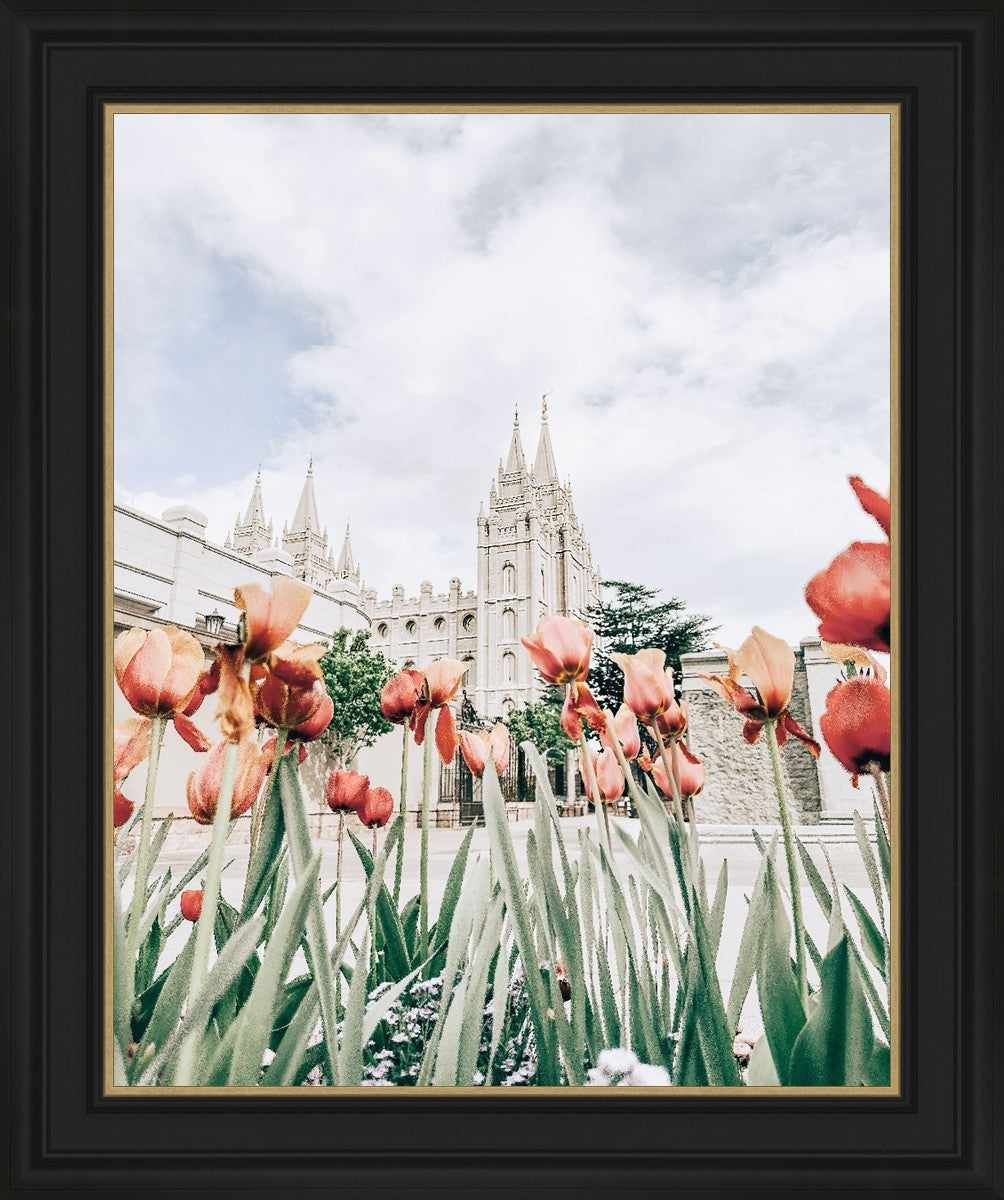 Salt Lake City Utah Serenity