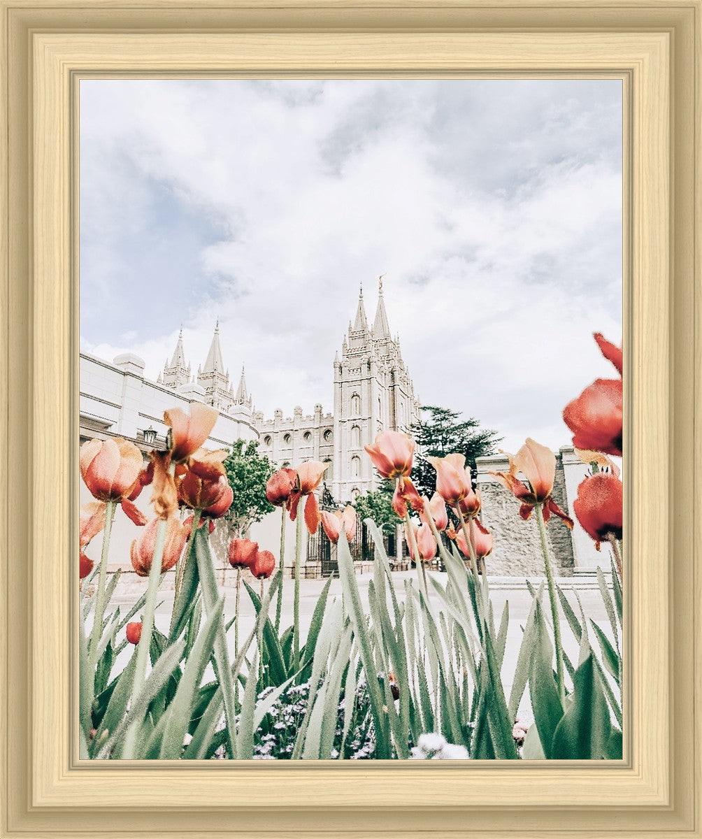 Salt Lake City Utah Serenity