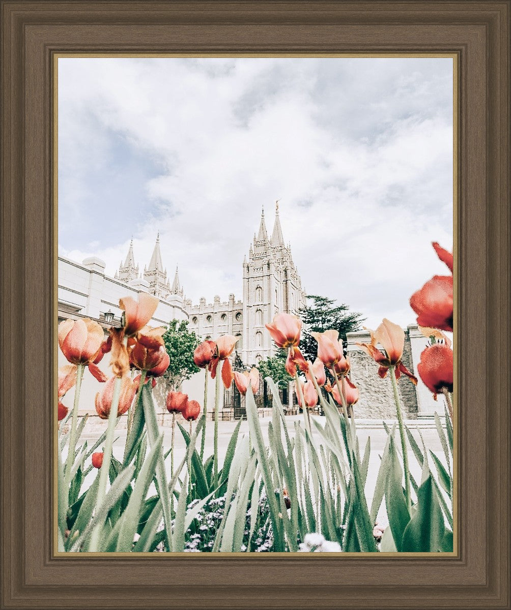 Salt Lake City Utah Serenity