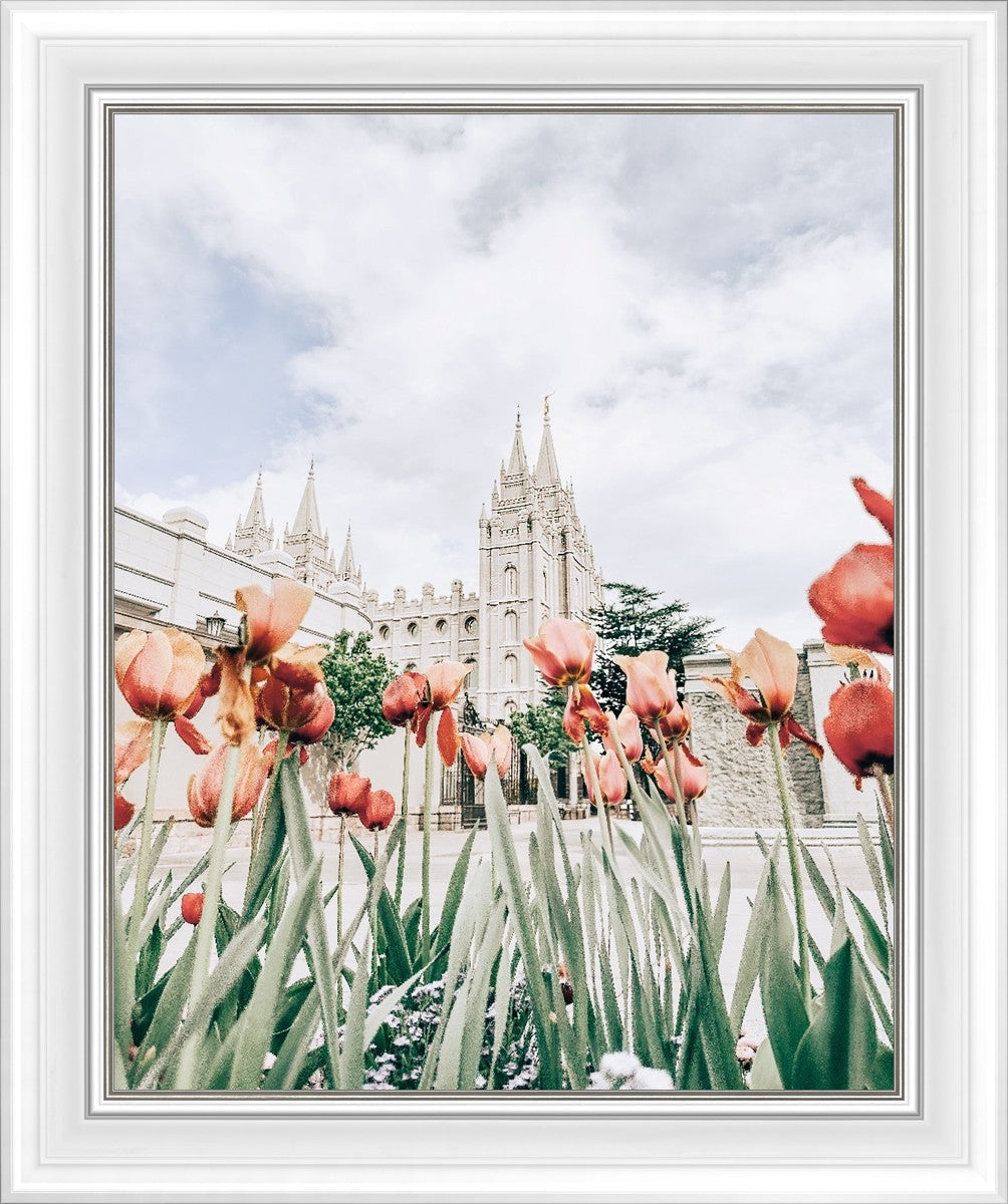 Salt Lake City Utah Serenity
