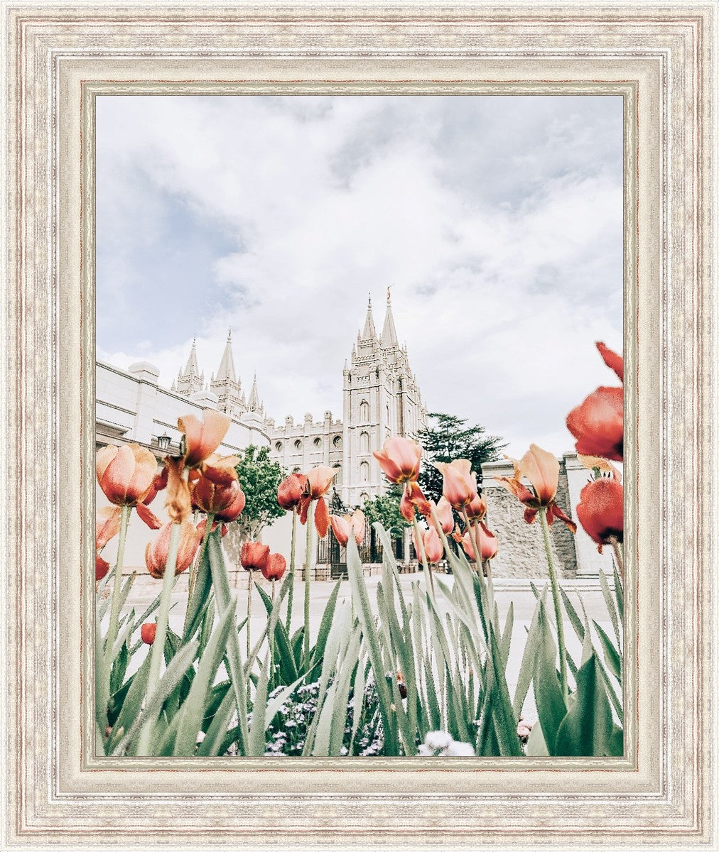Salt Lake City Utah Serenity
